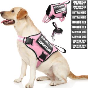 Service Dog Vest Harness and Leash Set+10 Patches,No Pull&Easy Walk Reflective Dog Harness with Soft Padded Handle for Training/Everyday,Fit Small/Medium/Large/Extra-Large Dogs (Pink L)