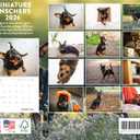 Miniature Pinscher Calendar 2026 Monthly Wall Calender 12 Month | American Made In The USA