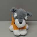 9.5IN DOG WITH ORANGE CAT HOODIE