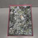 Galison Succulent Garden 500 Piece Double Sided Jigsaw Puzzle for Adults and Families, Fun Family Puzzle with Plants and Succulent Theme