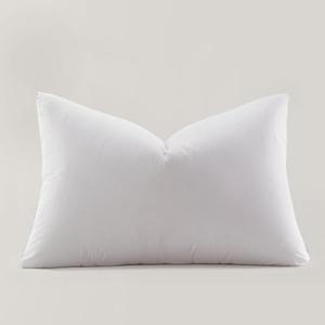 Globon Ultra Soft Down Pillow Queen Size, All Down Filled Bed Pillow for Sleeping, 100% Cotton Shell 500 Thread Count 700 Fill Power, Soft Hotel Collection Down Feather Pillow 20" x 30" 1 Pack