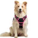 rabbitgoo Dog Harness No Pull with 2 Leash Clips, Adjustable Soft Padded, Reflective Oxford No Choke Pet Vest with Easy Control Handle for Large Dogs, Black & Hot Pink, M