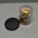 Artificial Flower Bouquet Building Set for Adult,Mini Plant Bonsai Tree Friend Set for Girl,Botanical Collection Gift for Kids,Orchid Building Blocks Birthday Gift for Mom Women Wife Girlfriend