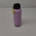 Bubba Trailblazer Insulated Stainless Steel Water Bottle with Straw Lid, 40oz, Lavender Frost Powder Coat
