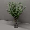 VIERENA 17.5" Artificial Eucalyptus Stems in Glass Vase with Faux Water,Fake Plant Eucalyptus Leaves White Seeds for Centerpiece Table Decorations Farmhouse Wedding Home Greenery Decor (Sage Green)
