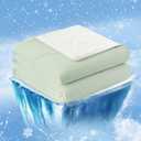 Cozy Bliss Cooling Comforter Queen Size, Cooling Blankets for Hot Sleepers and Night Sweats, Light Mint Green Cream Summer Comforter for Queen Size Bed, Breathable Soft Lightweight Silk Smooth