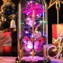 Valentines Day Rose Gifts for Her Birthday Gift for Women, Rechargeable Galaxy Glass Rose in Glass Dome Crystal Roses Butterfly Anniversary Valentine Gifts for Women Daughter Mom Wife Girlfriend Pink