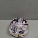 Ceramic Cat Bowls Set of 6 - Colorful/White Cute Shallow Cat Dishes - 5.75-Inch, Whisker Friendly and Wide - Microwave & Dishwasher Safe - 5.3 oz (250 ml) Colorful 2