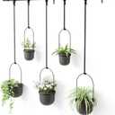 Umbra Triflora Hanging Planter, Set of 5, Black