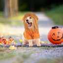 DELIFUR Dog Halloween Lion Costume - Adorable Pet Dress Up Clothes Animal Warmth Cosplay Holiday Coat for Small and Medium Dog Funny Outfit Comfort (Orange Lion, Large)