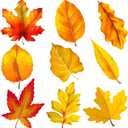 Lucleag 45 PCS Fall Maple Leaves Cutouts for Bulletin Board Decoration, Autumn Leaves Cutouts Fall Leaf Cut Outs for Thanksgiving Fall Autumn Party School Classroom Bulletin Board Decorations