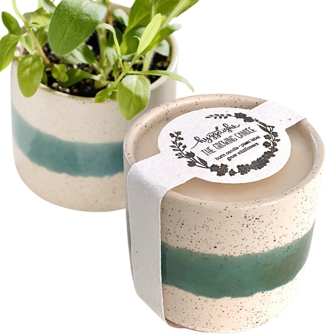 The Growing Candle, from Flame to Flower, Lavender Scented, Non-Toxic, 100% Soy Wax, Indoor Wildflower Garden, Aromatherapy Gift for Women, 8.5oz, 45-50 Hr Burn Time, Edith