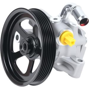 20-2403 Power Steering Pump Fits for 2008-2017 Enclave,2009-2017 Traverse/Acadia 6 Cyl 3.6L, for Saturn Outlook 2007-2010 6 Cyl 3.6L Power Assist Pump, Replace OE 20954812, 96-2403