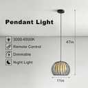 Pendant Light Modern Chandelier with Remote Control for Living Dining Room, 11"x11"x9.9"