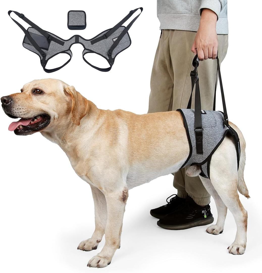 CNEO Dog Lift Harness, Dog Sling for  Dogs, Adjustable Dog Support Harness for Back Legs, Comfy Design Pet Harness with Padded for Elderly, Injured, Arthritic, Senior, Disabled Dogs XL