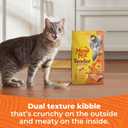 Meow Mix Tender Centers Dry Cat Food, Salmon & White Meat Chicken Flavors, 3 Pound Bag (Case of 4) (EXP 04/04/27)