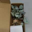 Artificial Eucalyptus Stems in Glass Vase with Faux Water,3Pcs Fake Plant with Double-Sided Green Leaves for Centerpiece(Double-Sided Green Eucalyptus)