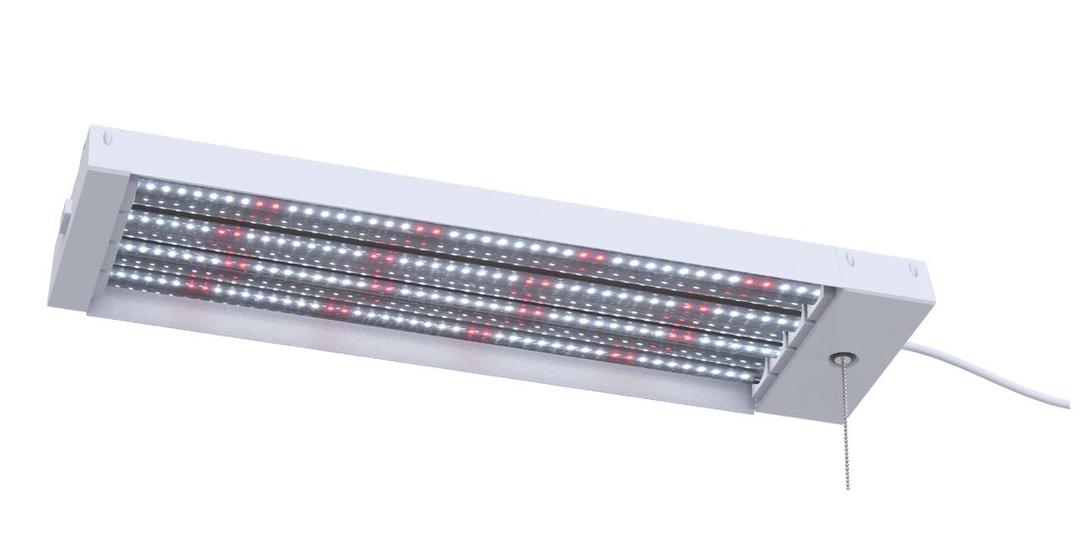GW LED 2FT GROW LIGHT 40WT RED BLUE