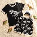 HONGTEYA Cotton Toddler Boys Clothes Kids Outfits Short Sleeve Set For 2-7T