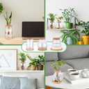 6 Pcs Plants Propagation Station Separated Desktop Glass Plant Terrarium with Wood Lid and Tray, 3 Sizes Hydroponics Plants Jars Water Planting Vases for Indoor Home Tabletop Decor