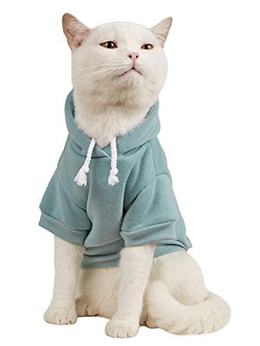QWINEE Basic Dog Hoodie Sweatshirt Puppy Sweater Warm Cat Costumes Pet Clothes for Chihuahua Puppy Kitten Large