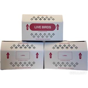 Live Bird Shipping Box Less Expensive Size 18" x 8" x 12" Tall-with Handle for Poultry, Pigeons, & Canaries - 3 Boxes