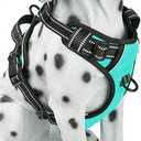 PoyPet No Pull Dog Harness, Reflective Comfortable Vest Harness with Front & Back 2 Leash Attachments and Easy Control Handle Adjustable Soft Padded Pet Vest for Small Medium Large Dogs (Mint Blue,M)