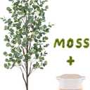 6FT Fake Eucalyptus Tree with Natural Wood Trunk, Artificial Eucalyptus Tree with Planter & Basket, Tall Faux Plant for Living Room Office Bedroom Indoor Outdoor Decor