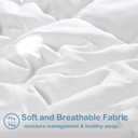 EASELAND Full Size Down Alternative Comforter - Quilted Duvet Insert for All Seasons, Soft Lightweight with Corner Tabs, Summer Winter Warm Bedding, White 8286 Inches
