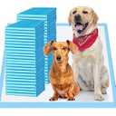 Upgrade Leak-Proof Pet Training and Puppy Pads, Jumbo Pee Pads for Dogs with Thicken Polymer Heavy Absorbency, Quick Dry Disposable Pee Pads for Cats Dogs - 100 Counts