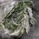 6 Ft Christmas Norfolk Pine Garland with 100 LED Lights, Dense Norfolk Pine Real Touch Garland, Artificial Greenery Garlands for Christmas Holiday Mantle Fireplace Table Home Decor Xmas