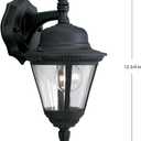 Progress Lighting P5862-31 1-Light Cast Wall Lantern with Clear Seeded Glass, Textured Black
