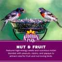 Nature's Song® Premium Fruit, Nut, & Berry Wild Bird 4 lb