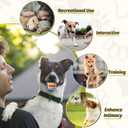 Nobleza Squeaky Tennis Balls for Dogs, 12 Pack 2.5" Floatable, Small Medium Dogs, Training, Natural Rubber, Rainbow