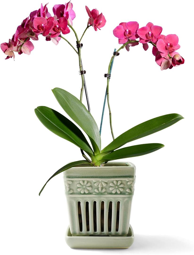 Orchid Pots with Holes | 5" Ceramic Orchid Planter with Separate Saucer and Drainage Holes | Glazed Pottery Small Flower Pot for Repotting Orchids(Green) (Square)