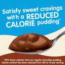 Snack Pack Zero Sugar Chocolate and Vanilla Flavored Pudding Cups, 3.25 oz., 12-Count Family Pack
