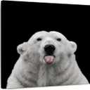 ElephantStock - Nothing Personal Wall Art - Square Canvas Wall Art - Living Room Wall Decor - Photography Polar Bear Canvas Art - Black And Gray Decor by Lars Van de Goor - 30" x 30"