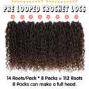 Fulcrum Goddess Locs Crochet Hair 14 Inch, 8 Packs New Faux Locs Crochet Hair for Black Women, Crochet locs with Curly Ends (14Inch (Pack of 8), T30#)