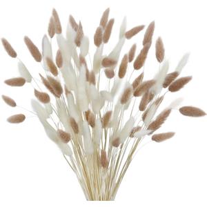 CISDUEO 120pcs Dried Bunny Tails Flowers Lagurus Ovatus Tail Dried Flowers Pampas Grass White and Light Brown Natural Dried Floral Arrangement for Boho Decor Home Wedding DIY Farmhouse Table 17"