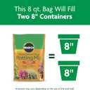Miracle-Gro Cactus, Palm and Citrus Potting Mix, for Indoor or Outdoor Potted Plants, Great for Succulents, 8 qt., 2-Pack