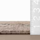 nuLOOM Cynedra Brown Vintage & Distressed Woven Runner Rug, Size: 2' x 8' (Rectangular)