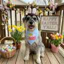 Pet Easter Costume Set Dog Cowboy Hat with Bunny Ears & Easter Egg Bandana Puppy Rabbit Ear Headwear & Reversible Spring Scarf Accessories Holiday Party Photo Props for Medium to Large Dogs