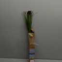 16PCS 17.3" Fake Plants Artificial Wheat Grass Greenery Plastic Plants Fake Grass Artificial Plants for Outdoor Decor Artificial Grass Plant with Greenery Stems for Indoor Home Decoration