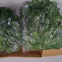 2 x Fake Decorative Leaves