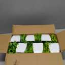 Unittype 12 Pcs Fake Plants Small Artificial Faux Plants for Shelf Mini Plastic Potted Greenery for Home Office Desk Bathroom Bedroom Indoor Decor(White Pot,Green)