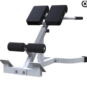 Adjustable Roman Chair, Hyperextension Bench for Back Exercise, White, Steel Frame, Multi-Position Core Training Equipment, Home Men Women Full Body U-Shaped Base