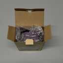 TECKNET Wireless Mouse, 2.4G Ergonomic Optical Mouse, Computer Mouse for Laptop, PC, Computer, Chromebook, Notebook, 6 Buttons, 24 Months Battery Life, 2600 DPI, 5 Adjustment Levels - Purple