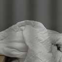 NTBAY Twin Comforter - Down Alternative Duvet Insert, All Season Bedding Quilted with Corner Tabs, Machine Washable, Soft Comforter Only, White (Twin(68x90 Inch) Pack of 1)