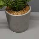 Fake Plants Artificial Tropical Plants Indoor in White Pot for Home Office Desk Accessories Bathroom Sage Green Decor