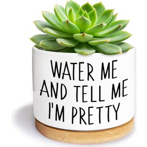 Water Me and Tell Me I'm Pretty - Cute Ceramic Planter Pot with Drainage Hole, Home Office Funny Small Succulent Cactus Pot for Women, Friends, Coworker, Plant Lovers